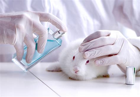 beauty products tested on animals.